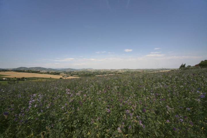 Campagna, San Giovanni in Marignano Foto(s) von PH. Paritani