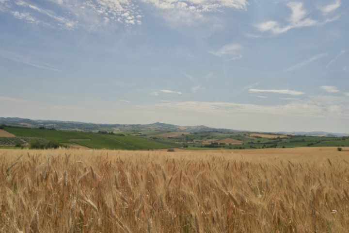 Campagna, San Giovanni in Marignano foto di PH. Paritani