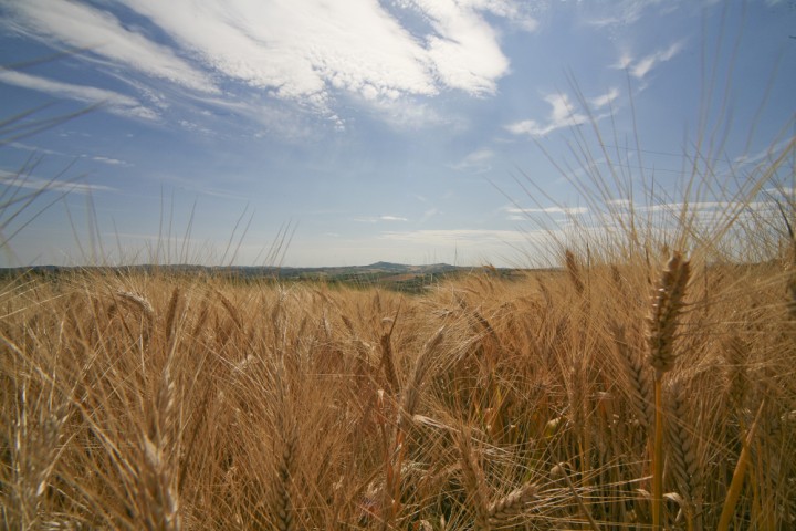 Countryside, San Giovanni in Marignano photo by PH. Paritani