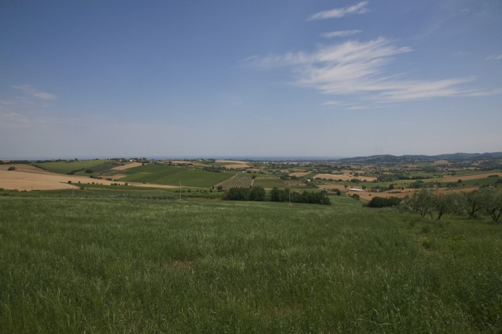 Countryside, San Giovanni in Marignano photo by PH. Paritani