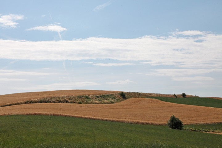 Countryside, San Giovanni in Marignano photo by PH. Paritani