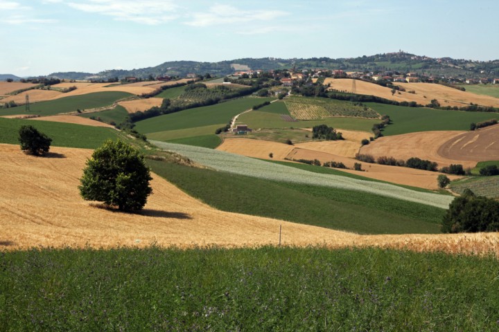 Countryside, San Giovanni in Marignano photo by PH. Paritani