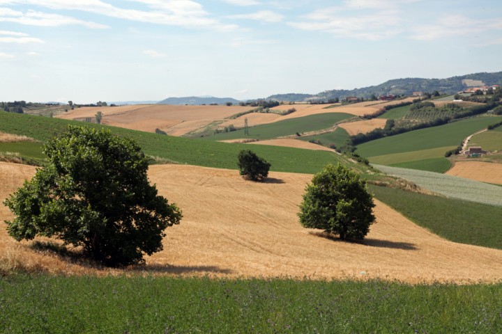 Countryside, San Giovanni in Marignano photo by PH. Paritani