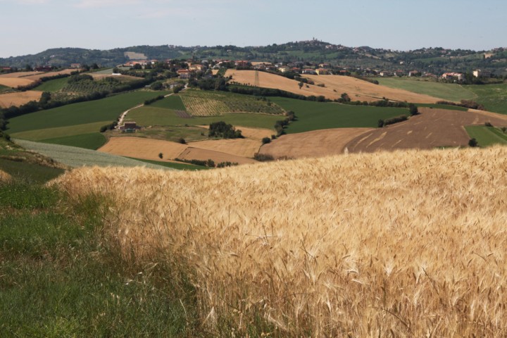 Countryside, San Giovanni in Marignano photo by PH. Paritani