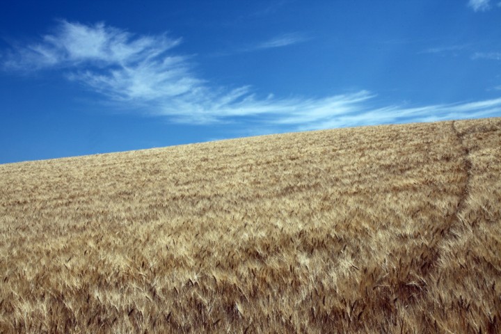 Campagna, San Giovanni in Marignano foto di PH. Paritani