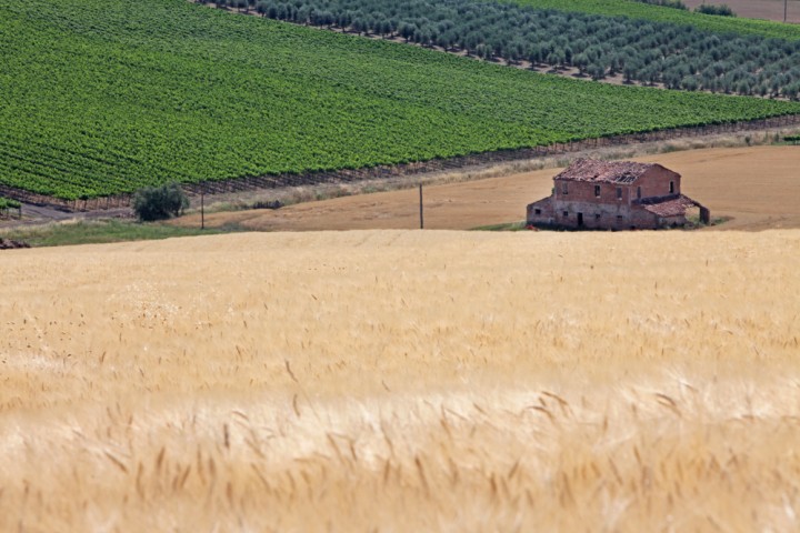 Countryside, San Giovanni in Marignano photo by PH. Paritani