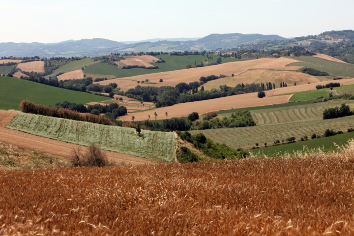 Countryside, San Giovanni in Marignano photo by PH. Paritani