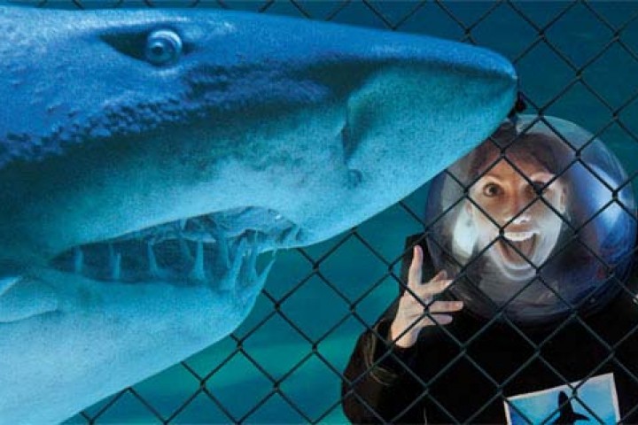 Cattolica, Acquario Le Navi foto di Archivio fotografico Acquario Le Navi