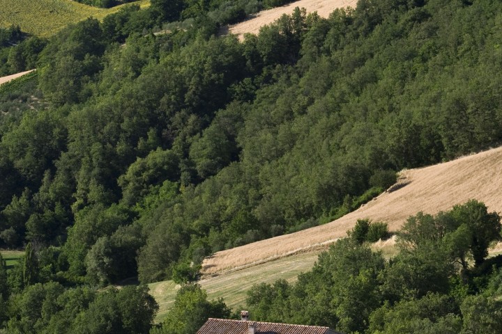 panorama da Mondaino Foto(s) von T. Mosconi