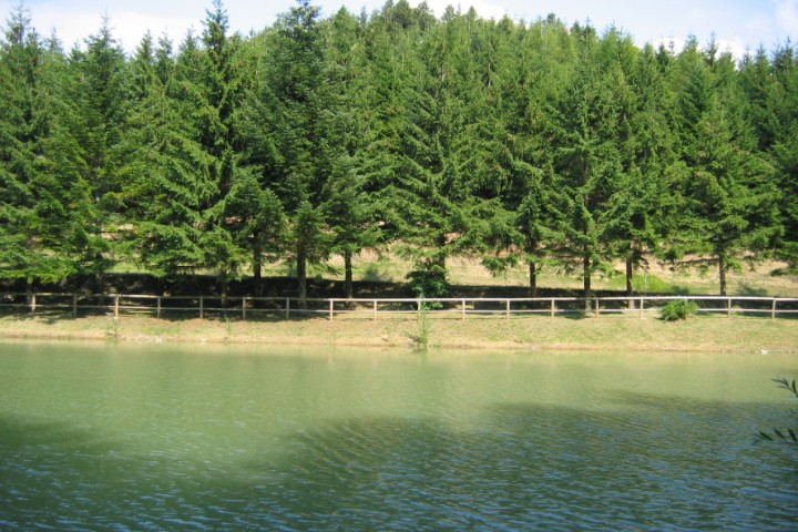 Parco naturale del Sasso Simone e Simoncello Foto(s) von Archivio fotografico Parco Sasso Simone