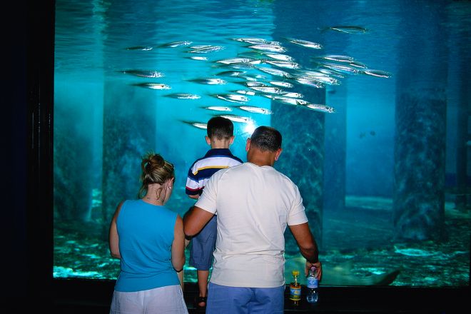 Cattolica, Acquario Le Navi foto di L. Bottaro