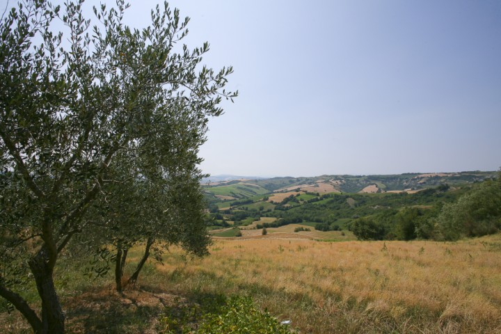 Campagna, Mondaino foto di PH. Paritani