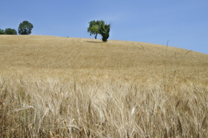 Campagna, Mondaino foto di PH. Paritani
