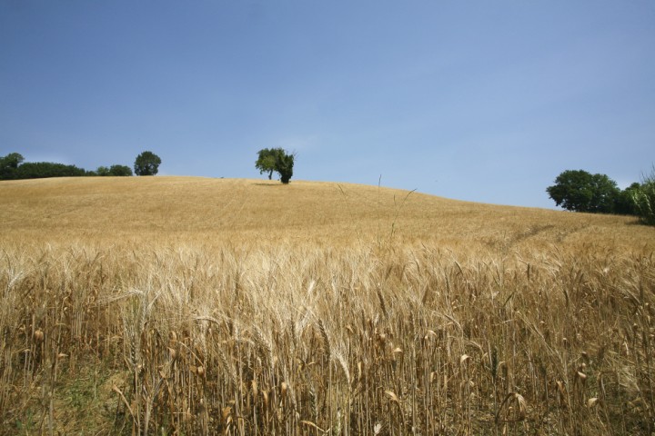 Campagna, Mondaino foto di PH. Paritani