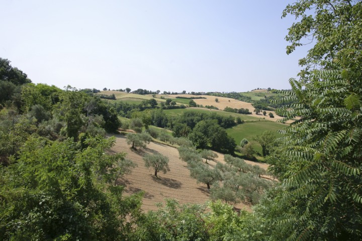 Cerreto di Saludecio foto di PH. Paritani