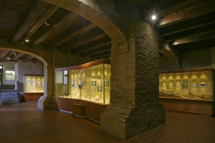 Mostra maioliche, Mondaino foto di PH. Paritani