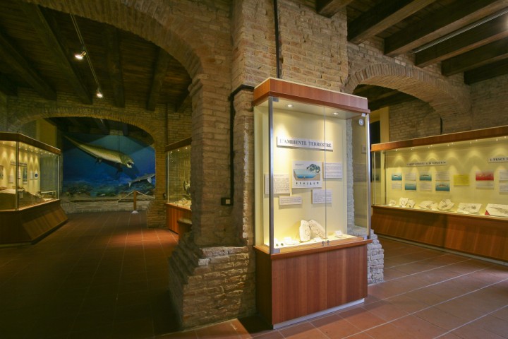 Palaeontology Museum, Mondaino photo by PH. Paritani