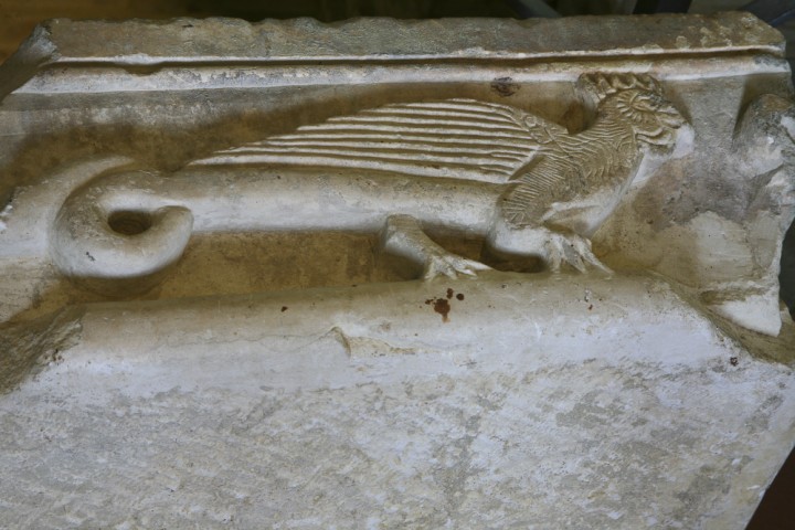 Palaeontology Museum, Mondaino photo by PH. Paritani