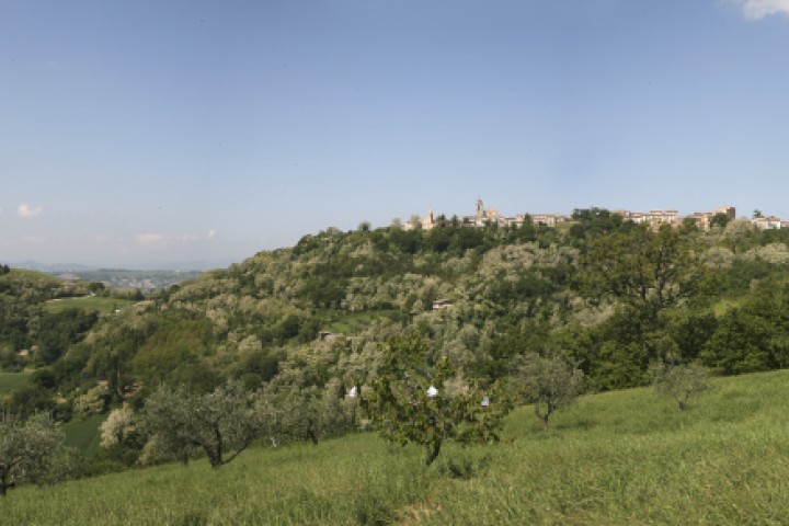 Colline, Mondaino foto di PH. Paritani