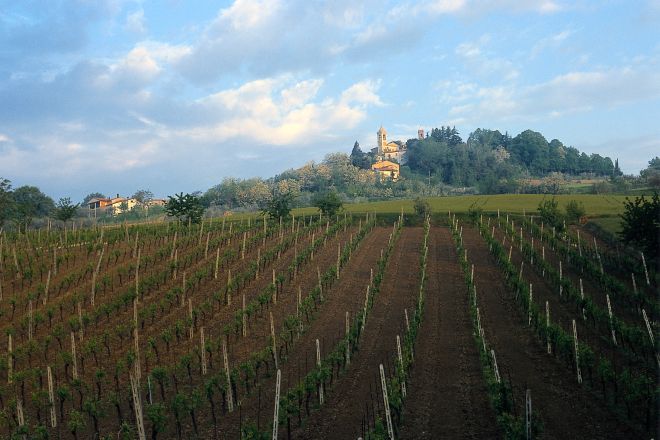 Campagna Foto(s) von T. Mosconi