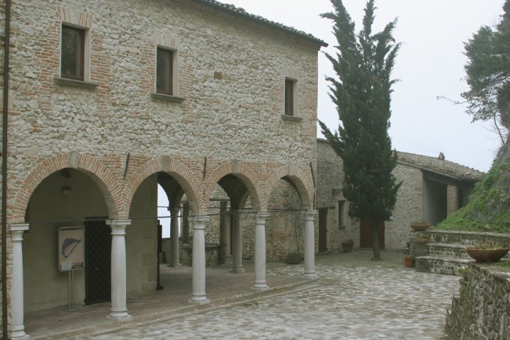 Museo villanoviano, Verucchio foto di PH. Paritani