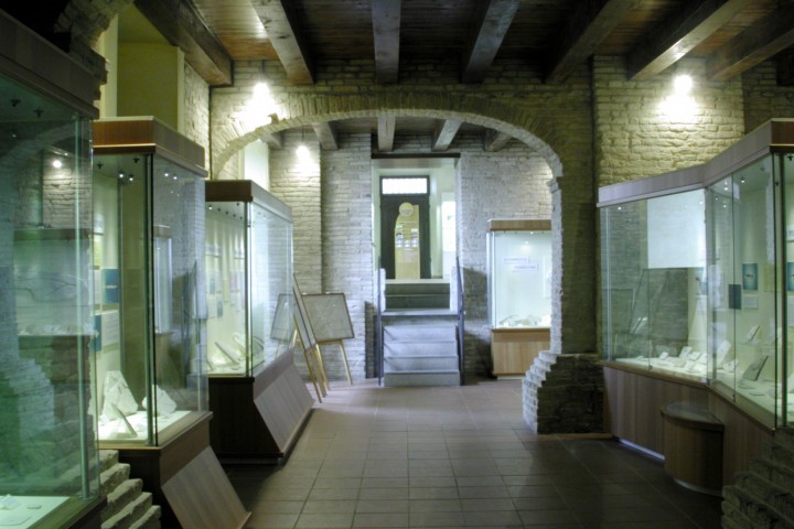 museo paleontologico, Mondaino photos de Archivio Provincia di Rimini
