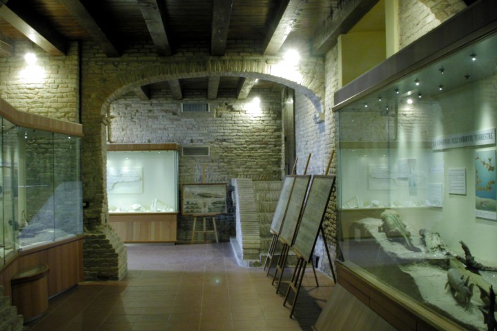 museo paleontologico, Mondaino foto di Archivio Provincia di Rimini