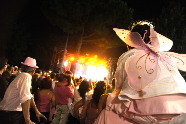 The pink night - La Notte Rosa, Samuele Bersani in concert in Misano photo by M. Migliorini