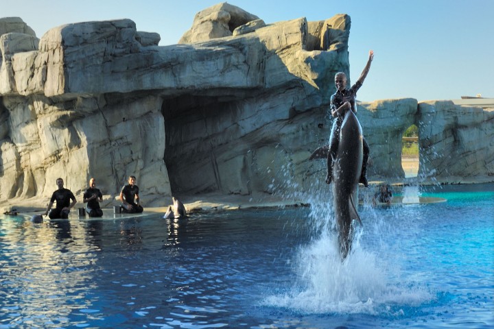 Oltremare, Riccione photos de Archivio fotografico Parco Oltremare