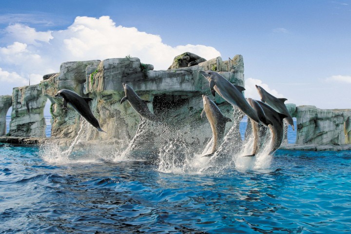 Oltremare, Riccione photos de Archivio fotografico Parco Oltremare