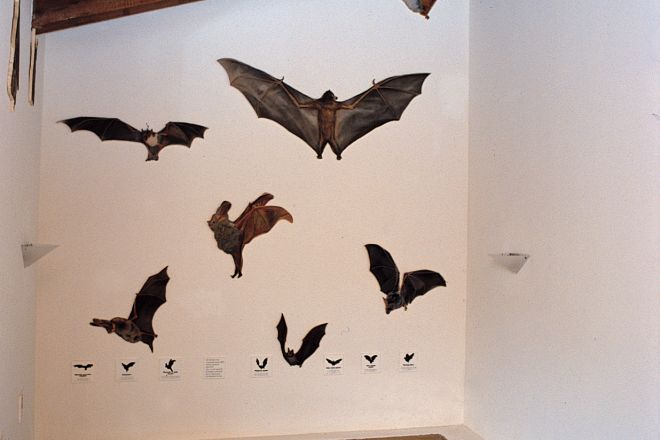 Onferno Foto(s) von Archivio Provincia di Rimini