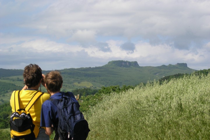 Sasso Simone and Simoncello game reserve photo by Archivio fotografico Parco Sasso Simone