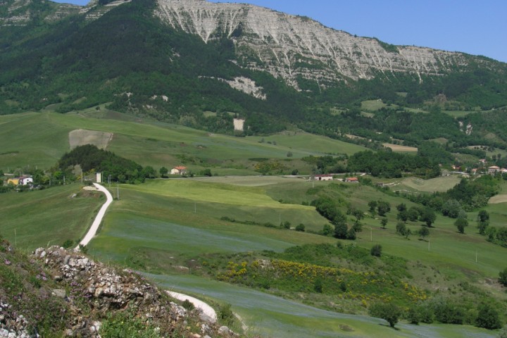 Sasso Simone and Simoncello game reserve photo by Archivio fotografico Parco Sasso Simone