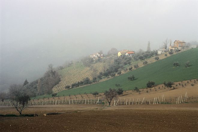 La nebbia Foto(s) von T. Mosconi