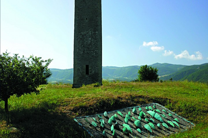 I Luoghi dell'anima. Bascio, Il giardino pietrificato. Il tappeto delle onde quiete photos de L. Liuzzi