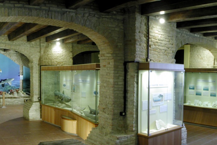 museo paleontologico, Mondaino foto di Archivio Provincia di Rimini