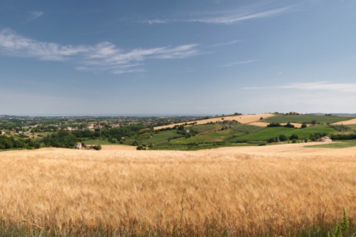 Countryside, San Giovanni in Marignano photo by PH. Paritani