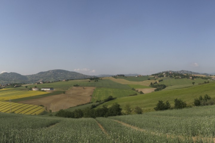 Vista da San Clemente foto di PH. Paritani