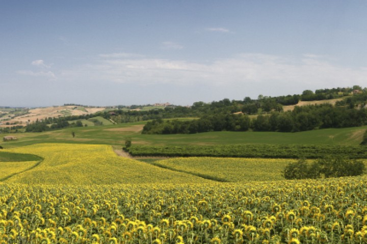 Countryside, Montecolombo photo by PH. Paritani