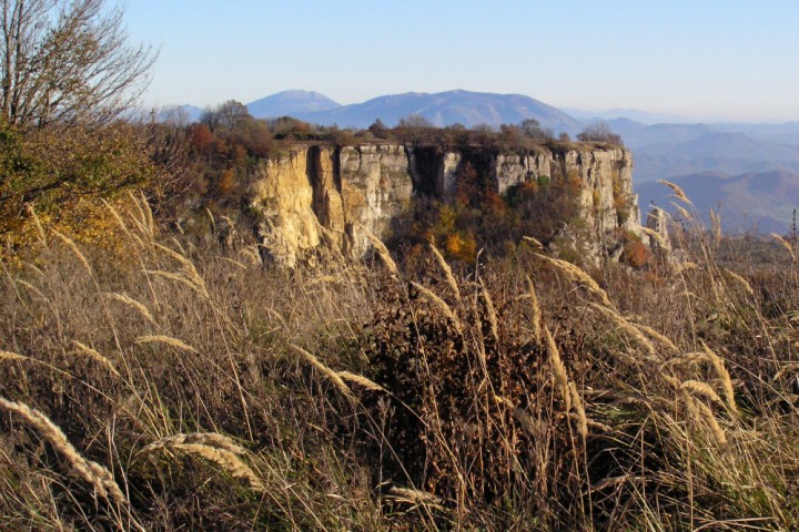 Sasso Simone and Simoncello game reserve photo by Archivio fotografico Parco Sasso Simone