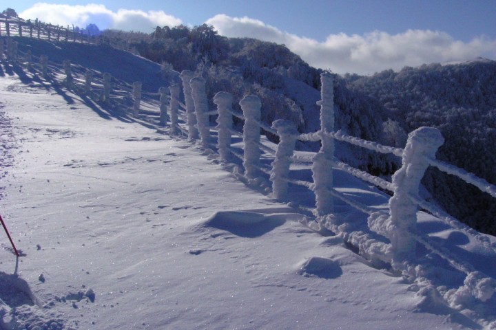 Neve al parco naturale del Sasso Simone e Simoncello foto di Archivio fotografico Parco Sasso Simone