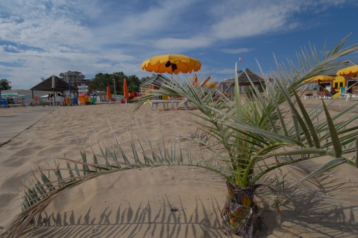 Spiaggia e ombrelloni, Riccione photos de Archivio Provincia di Rimini