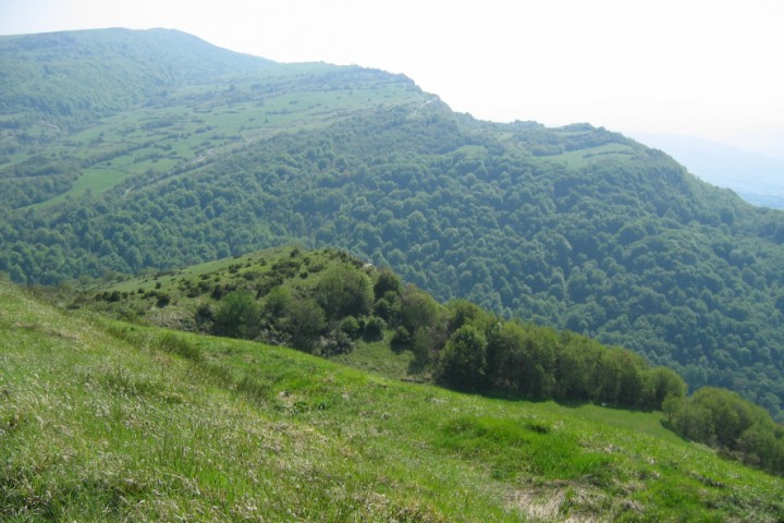 Parco naturale del Sasso Simone e Simoncello foto di Archivio fotografico Parco Sasso Simone