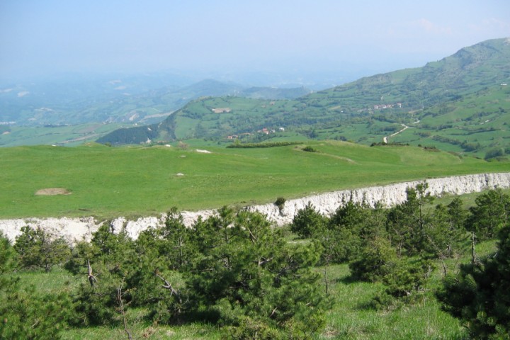 Sasso Simone and Simoncello game reserve photo by Archivio fotografico Parco Sasso Simone