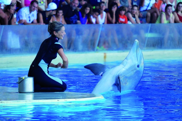 Oltremare, Riccione photos de Archivio fotografico Parco Oltremare