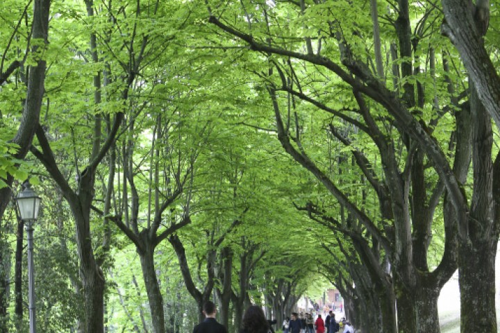 Saludecio photo by PH. Paritani