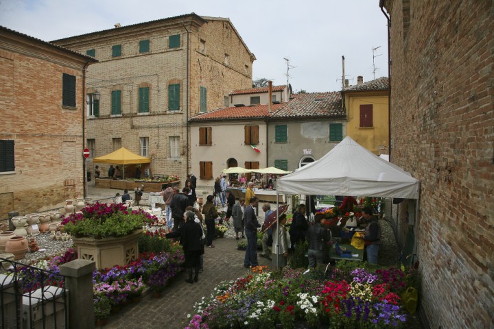 Spring festival, Saludecio photo by PH. Paritani