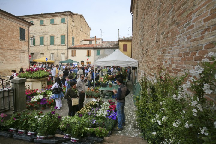 Spring festival, Saludecio photo by PH. Paritani