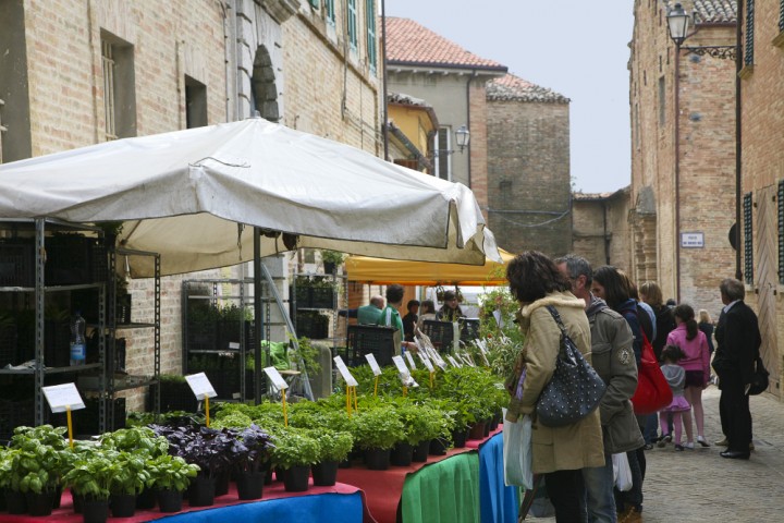 Spring festival, Saludecio photo by PH. Paritani