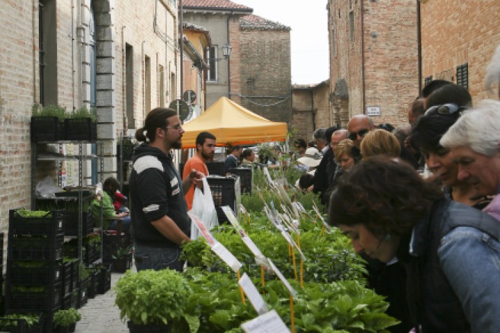 Spring festival, Saludecio photo by PH. Paritani